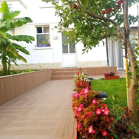 Guest house Rusto 3*